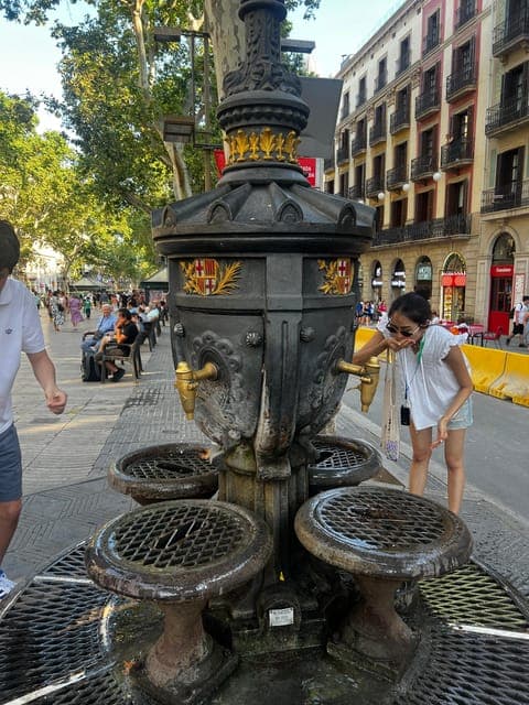 undefined Gallery Image 3