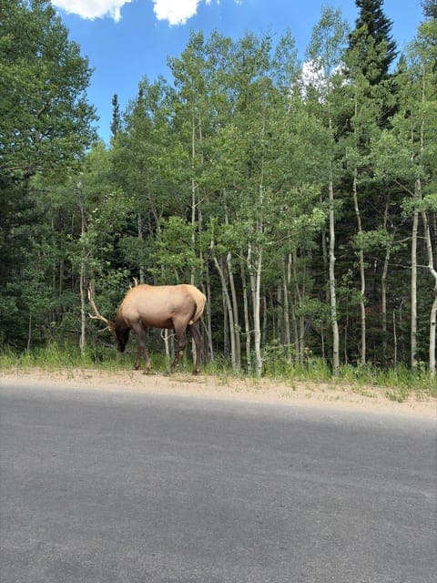 undefined Gallery Image 3