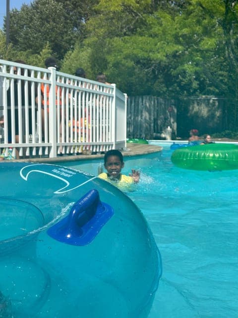 undefined Gallery Image 3