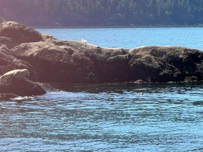 undefined Gallery Image 3