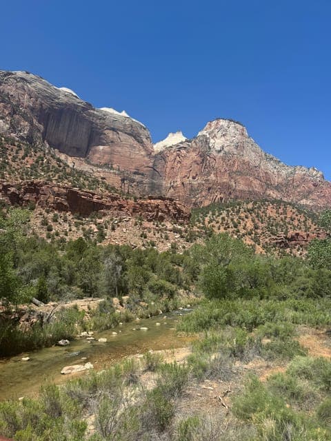 undefined Gallery Image 4