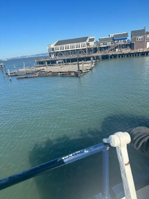 undefined Gallery Image 4