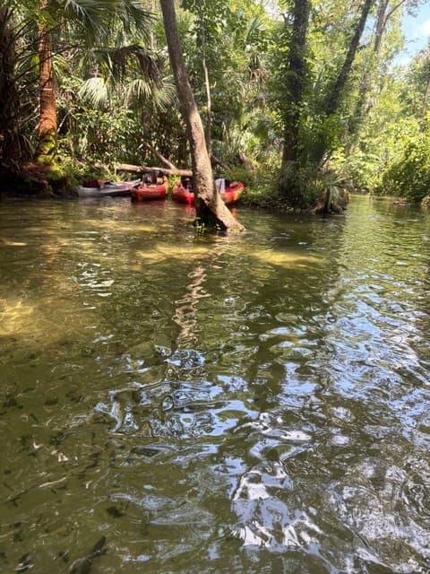 undefined Gallery Image 3