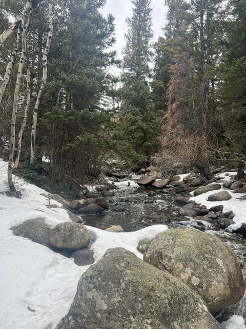 undefined Gallery Image 3