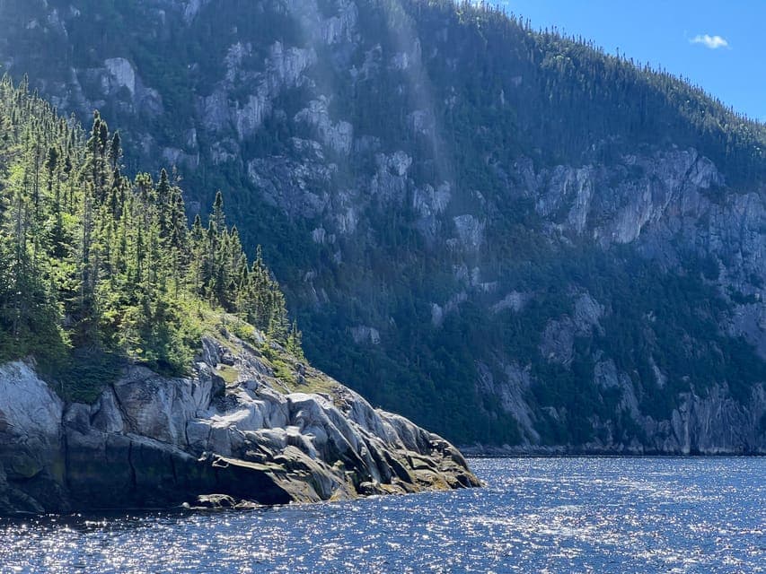 undefined Gallery Image 3