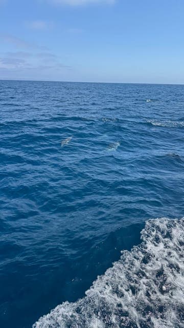 undefined Gallery Image 2