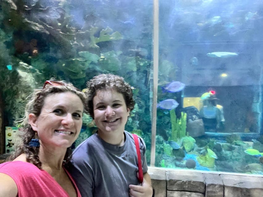 undefined Gallery Image 4