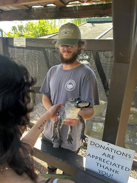 undefined Gallery Image 3