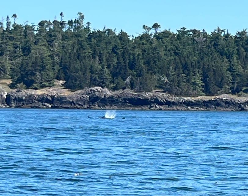 undefined Gallery Image 2