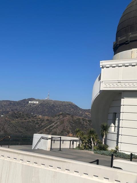 undefined Gallery Image 4