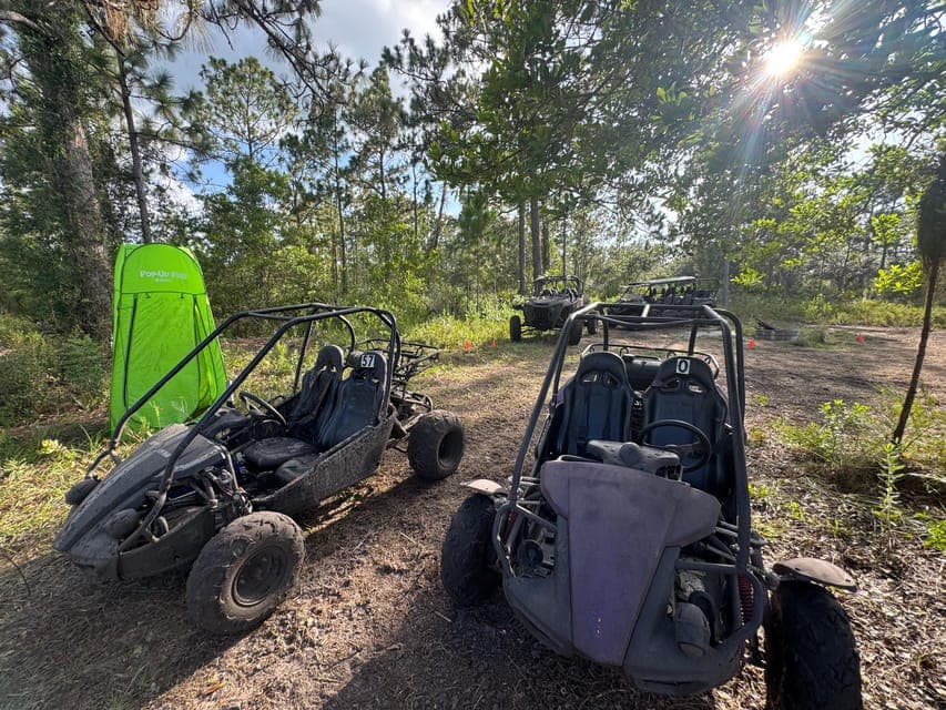 undefined Gallery Image 4