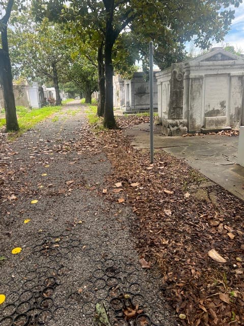 undefined Gallery Image 4