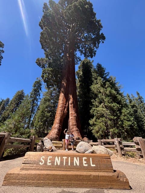 undefined Gallery Image 2