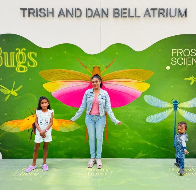 undefined Gallery Image 1