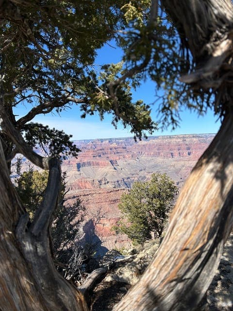 undefined Gallery Image 2