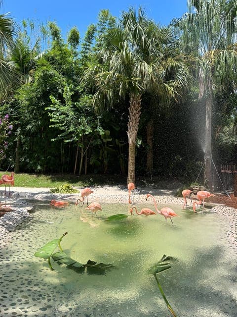 undefined Gallery Image 1