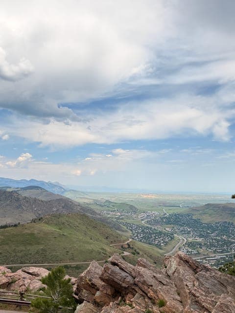 undefined Gallery Image 4