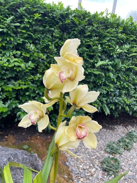 undefined Gallery Image 3