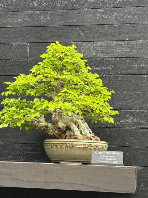 undefined Gallery Image 1
