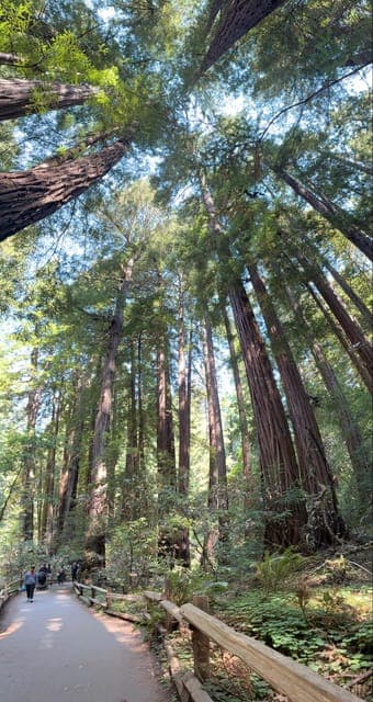 undefined Gallery Image 3