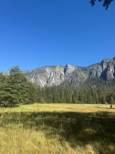 undefined Gallery Image 3