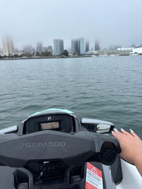 undefined Gallery Image 4