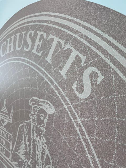 undefined Gallery Image 3