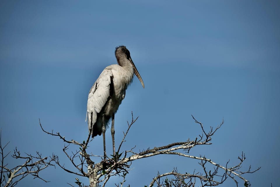 undefined Gallery Image 3