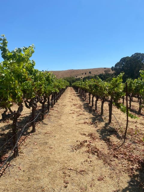 undefined Gallery Image 3