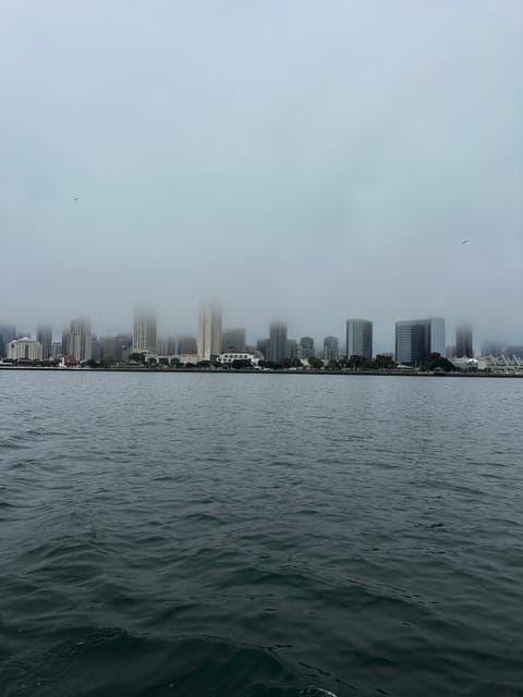 undefined Gallery Image 1