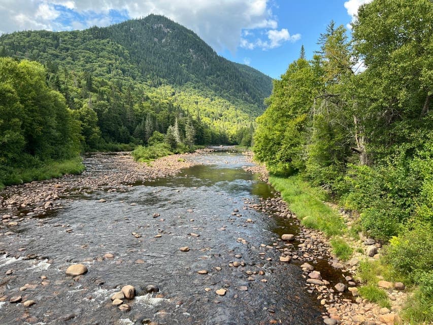 undefined Gallery Image 2