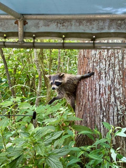 undefined Gallery Image 4