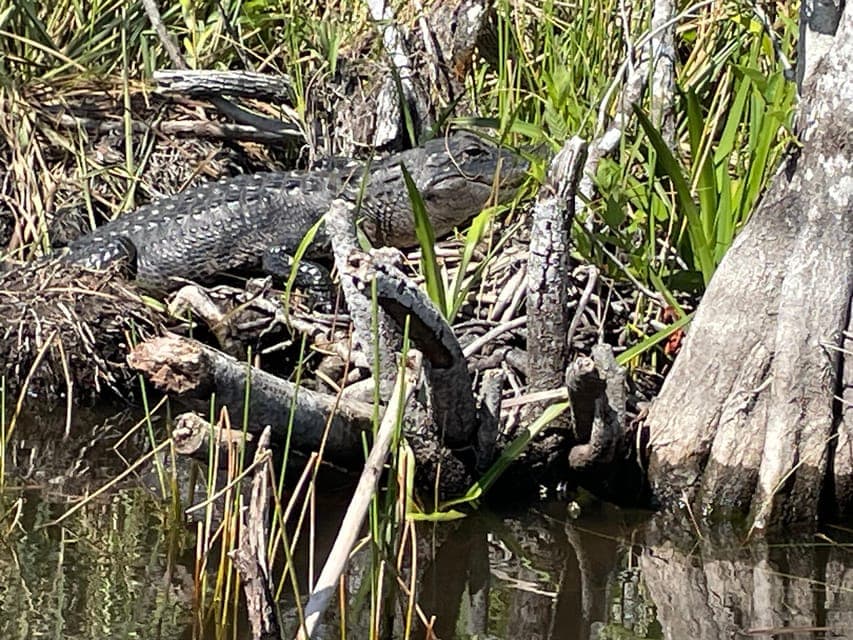 undefined Gallery Image 3