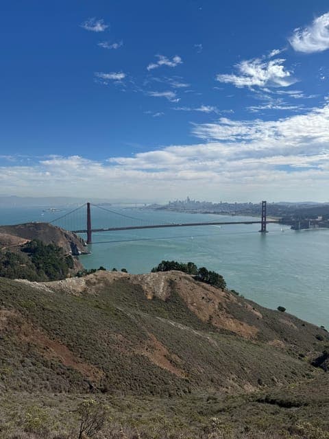 undefined Gallery Image 1