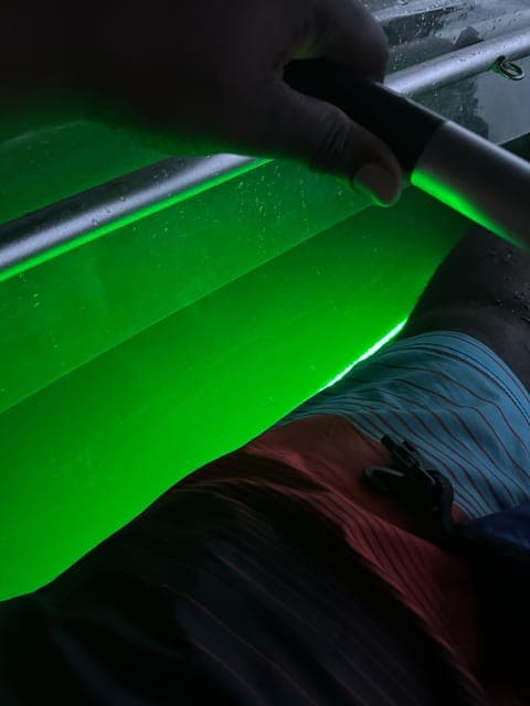 undefined Gallery Image 1