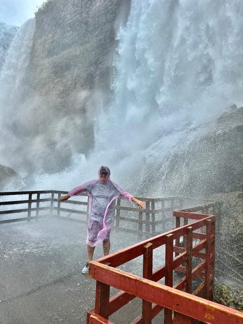 undefined Gallery Image 3