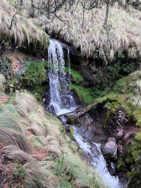 undefined Gallery Image 2