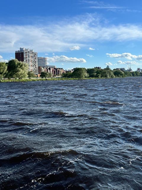 undefined Gallery Image 3