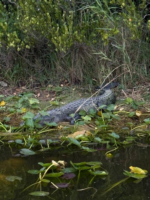 undefined Gallery Image 3