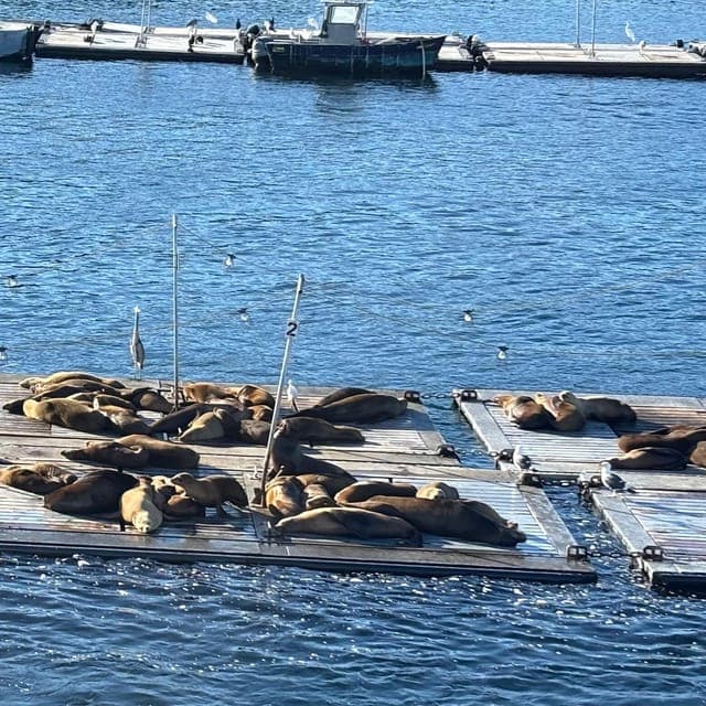 undefined Gallery Image 3