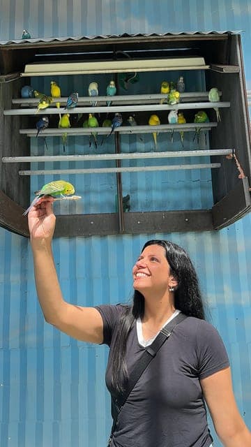 undefined Gallery Image 2