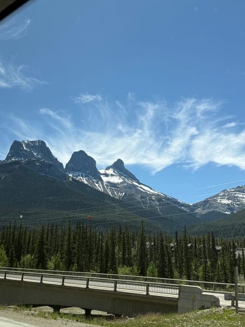 undefined Gallery Image 2