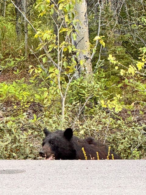 undefined Gallery Image 1