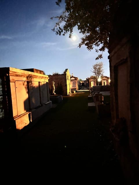 undefined Gallery Image 4