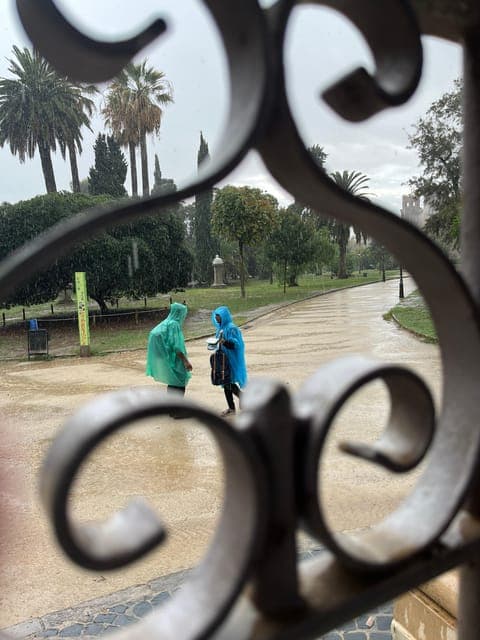 undefined Gallery Image 4