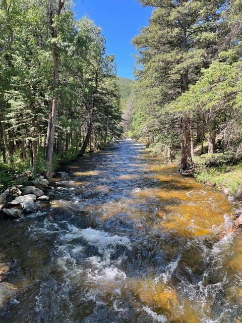 undefined Gallery Image 3