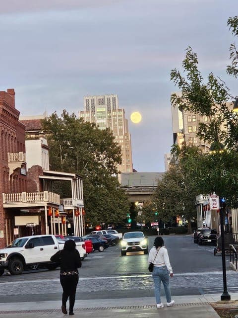 undefined Gallery Image 3