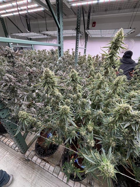 undefined Gallery Image 2