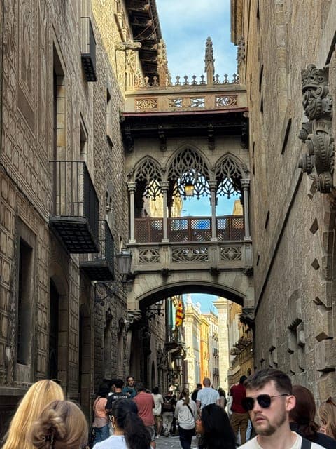 undefined Gallery Image 3