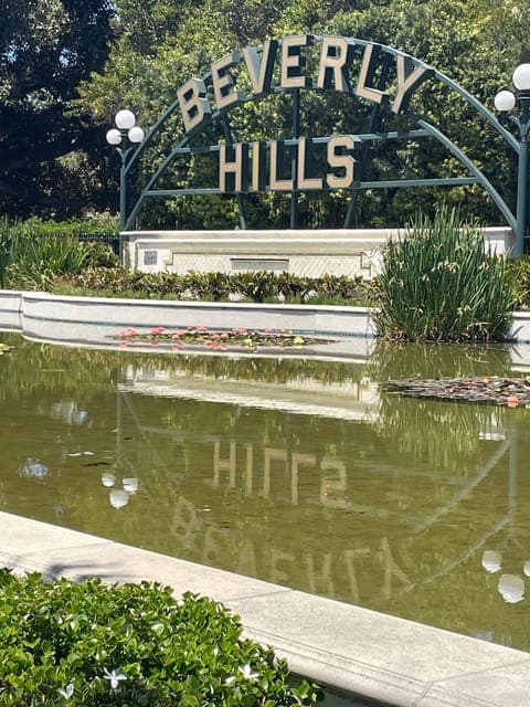 undefined Gallery Image 4